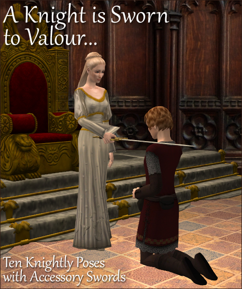 A Knightly Posebox with Accessory Swords