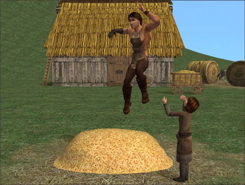 Skill-building Haystack | Nixed Sims